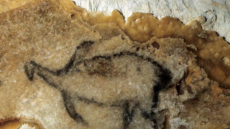 Grotte cosquer - Pingouin