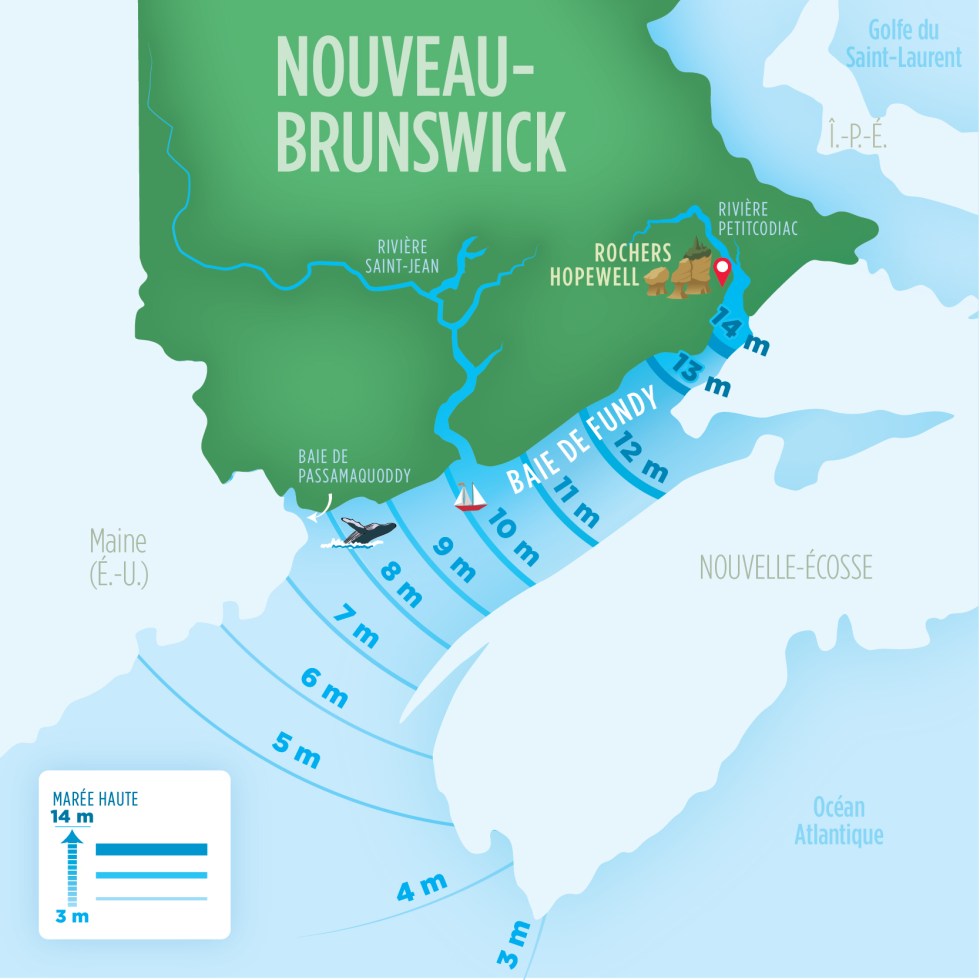Marées - Carte marnage dans la baie de Fundy.jpg