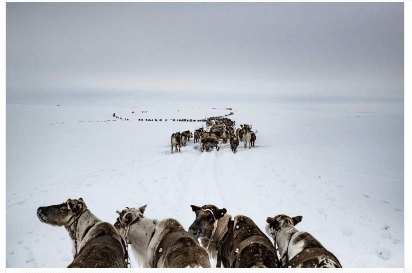 Capture d’écran 2019-12-16 à 13.21.07