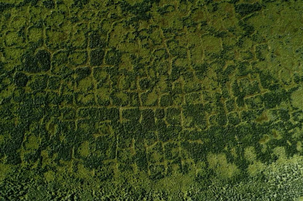 Capture d’écran 2020-03-29 à 11.20.11